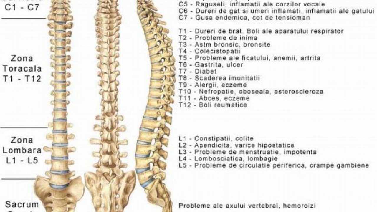 tratamentul sacrului coloanei vertebrale